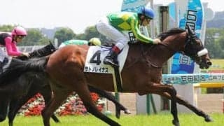サトノレイナス、日本ダービーの勝算は？　国枝栄調教師にズバリ手応えを聞いた