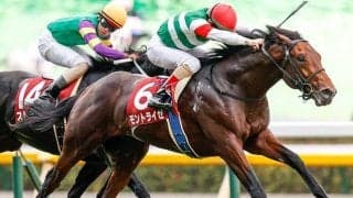 【葵S予想オッズ】モントライゼが単勝1.8倍で予想1番人気に