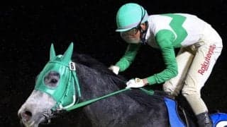 【門別競馬情報】今開催から“週3日”競馬スタート!25日メイン11RはJBC協会協賛「フォーウィールドライブ賞」/地方競馬情報