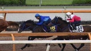 ワンダフルタウン、日本ダービー最終追い切り速報/栗東トレセンニュース