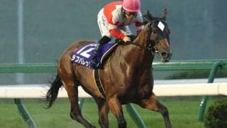 【地方競馬】ラブバレットが予後不良　2016年・2017年の岩手年度代表馬