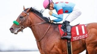 【鳴尾記念想定】GI馬ブラストワンピース・ペルシアンナイト、新潟大賞典覇者サンレイポケットなど