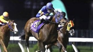 【川崎マイラーズ】出遅れも何のその、モジアナフレイバーが突き抜け完勝