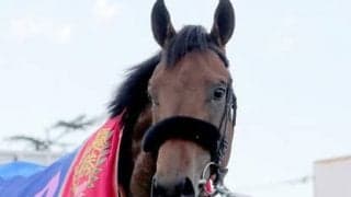 ダービーで２冠達成濃厚のエフフォーリア。急成長の１頭の逆転はあるか