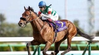 【日本ダービー枠順確定】エフフォーリアは1枠1番、サトノレイナスは8枠16番