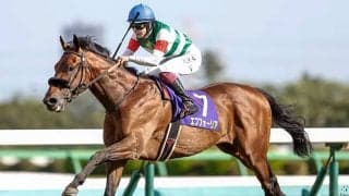 【日本ダービー 調教後馬体重】エフフォーリアは514kg、サトノレイナスは476kg