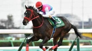 エフフォーリアは絶対じゃない。穴党記者がダービーでの逆転を確信する４頭