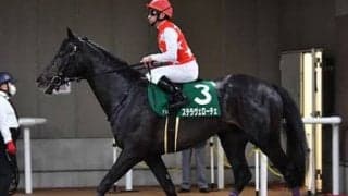 日本ダービー、エフフォーリアにとっての「敵」と人気の盲点となる穴馬