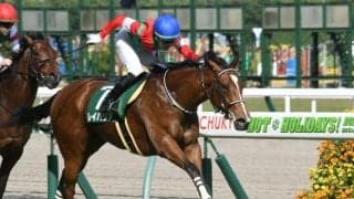 【葵S結果】13番人気レイハリアが3連勝　人馬ともに重賞初制覇