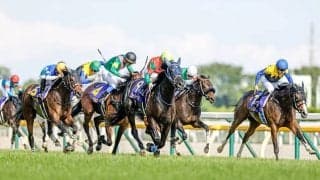 【JRA】6月の東京・中京・札幌競馬は指定席券の事前購入者のみ入場可能
