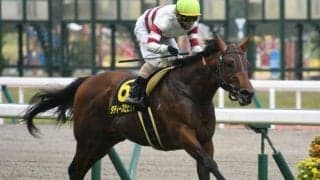 【本日の注目ポイント】中京で3歳スプリント重賞・葵S