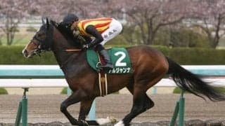 国枝調教師を興奮させたコマンドラインがデビュー「あの動き、見たか！」