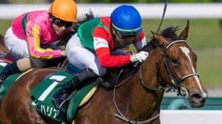 【葵S】亀田「祈るだけでした」レイハリアが重賞初制覇