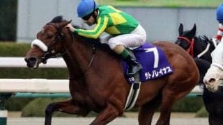 【日本ダービー・馬体重】エフフォーリアは510kg(+6)、サトノレイナスは474kg(0)