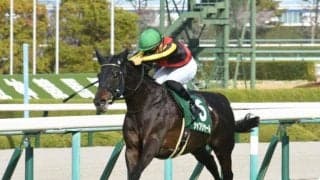 【日本ダービー予想】タイム指数では皐月賞のレベルに疑問あり？狙うは過去の名馬たちより高数値出ているあの馬だ！