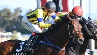 【目黒記念】ロングスパートが生かせる舞台で重賞初制覇に挑むヒートオンビート