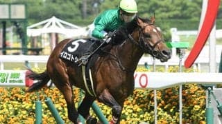 【揖斐川特別】熊本産馬ではJRA10年ぶり、イロゴトシが古馬特別戦で勝利飾る
