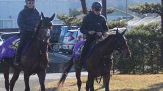 【日本ダービー】ヨーホーレイク友道師「東京の2400メートルが一番合っている」/ねぇさんのトレセン密着