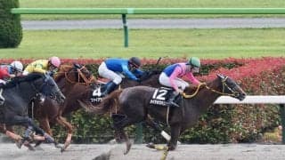 【薫風S】横山和生騎乗 メイショウハリオが差し切る