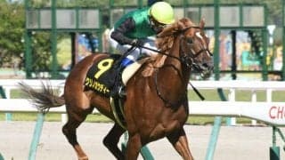 【安土城S結果】クリノガウディーが抜け出しレコードV