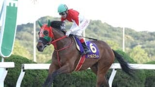 【佐賀・九州ダービー栄城賞結果】トゥルスウィーが断然人気に応え2冠達成