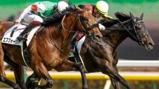 【勝負の分かれ目 日本ダービー】ダービーの勝ち方を知っている福永騎手が結果を出した