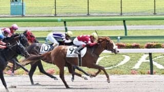 【東京5R】4番人気 ジョディーズマロンが2勝目
