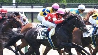 【東京4R】断然人気のレッドロワが初勝利