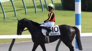 【日本ダービー】福永「お客さんに見てもらえ良かった」シャフリヤールが戴冠