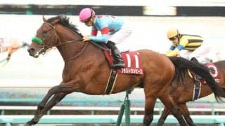 【鳴尾記念登録馬】ブラストワンピースなど13頭が登録