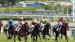 【日本ダービー】横山武「申し訳ないです」レース後ジョッキーコメント