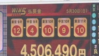 WIN5は134票的中！エフフォーリアは敗れる　