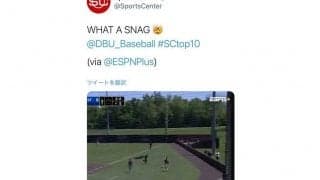 柵を越えて1回転　米で生まれた“超アクロバット捕球”に称賛の嵐「あり得ないプレー」