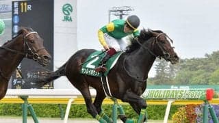 【鳴尾記念予想オッズ】サンレイポケットを中心に上位人気は混戦模様