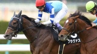 【鳴尾記念展望】宝塚記念に向けた一戦、好走の条件とは