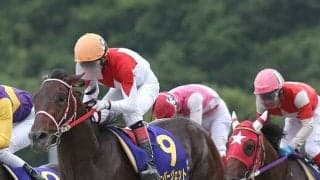 1着賞金27万円→1000万円に！ 売上好調の高知競馬で行われるダービー“高知優駿”/斎藤修