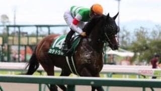 【安田記念展望】春のマイル王決定戦、あの穴馬に期待したい