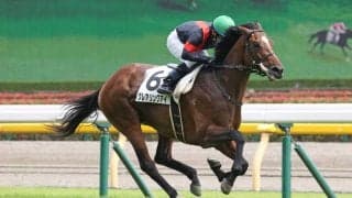 【東京7R】グレアリングアイが2勝目