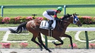 【東京1R】断然人気 ルコルセールが8馬身差圧勝