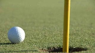 女子ゴルフ、選手の後ろ姿クイズ　パンツスタイルの1枚に予想続々「お団子だから…」