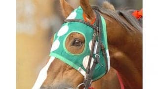 オマワリサン、モチ、オレハマッテルゼ…“珍名馬イズム”継ぐ小田切光オーナー　カラテで目指すは世界舞台！