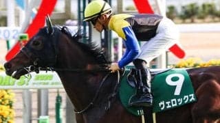 【エプソムC想定】3歳時クラシック戦線で活躍のヴェロックス、サトノフラッグ、ガロアクリークなど