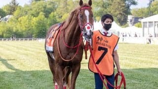 【米・ベルモントS枠順】アメリカ三冠競走第3戦、日本馬フランスゴデイナは5番枠