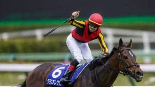 【安田記念】出走馬の調教後の馬体重