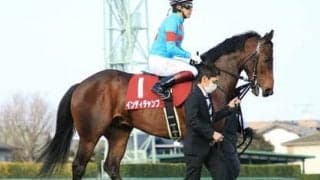 安田記念は人気落ちＧＩ馬と上がり馬がオイシイ配当を運んできてくれる