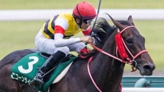 【鳴尾記念】坂井「状態凄く良かった」ユニコーンライオンが逃げ切り！