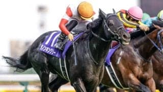 【勝負の分かれ目 安田記念】テン乗りの川田騎手が爆発力を引き出し、ダノンキングリーがGI初制覇