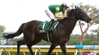 【中京1R・障害OP】10歳馬スズカデヴィアスが予後不良　2018年の新潟大賞典覇者