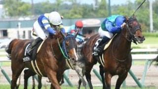 【JRA・WIN5】的中わずか6票！ 配当は1億267万4510円！