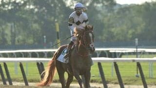 【米・ベルモントS】日本馬フランスゴデイナ、競走中止も…森師「特段問題なく元気そう」